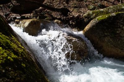 Прикрепленное изображение: DSC_0043_s.jpg